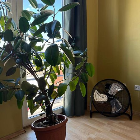 Apartment Near Centre Tartu Zewnętrze zdjęcie