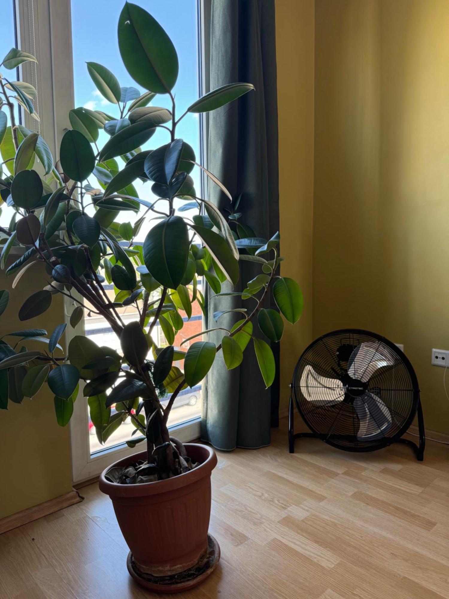 Apartment Near Centre Tartu Zewnętrze zdjęcie