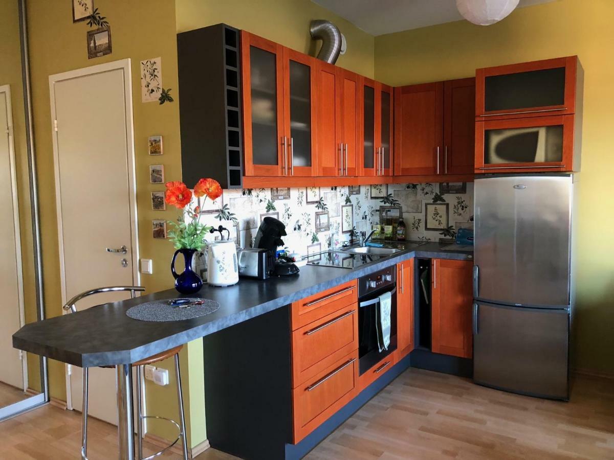 Apartment Near Centre Tartu Zewnętrze zdjęcie