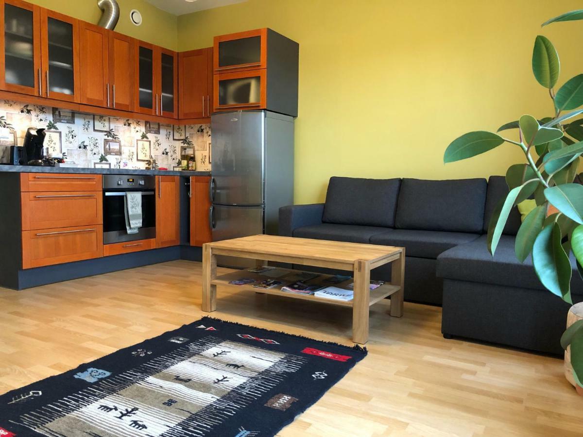 Apartment Near Centre Tartu Zewnętrze zdjęcie